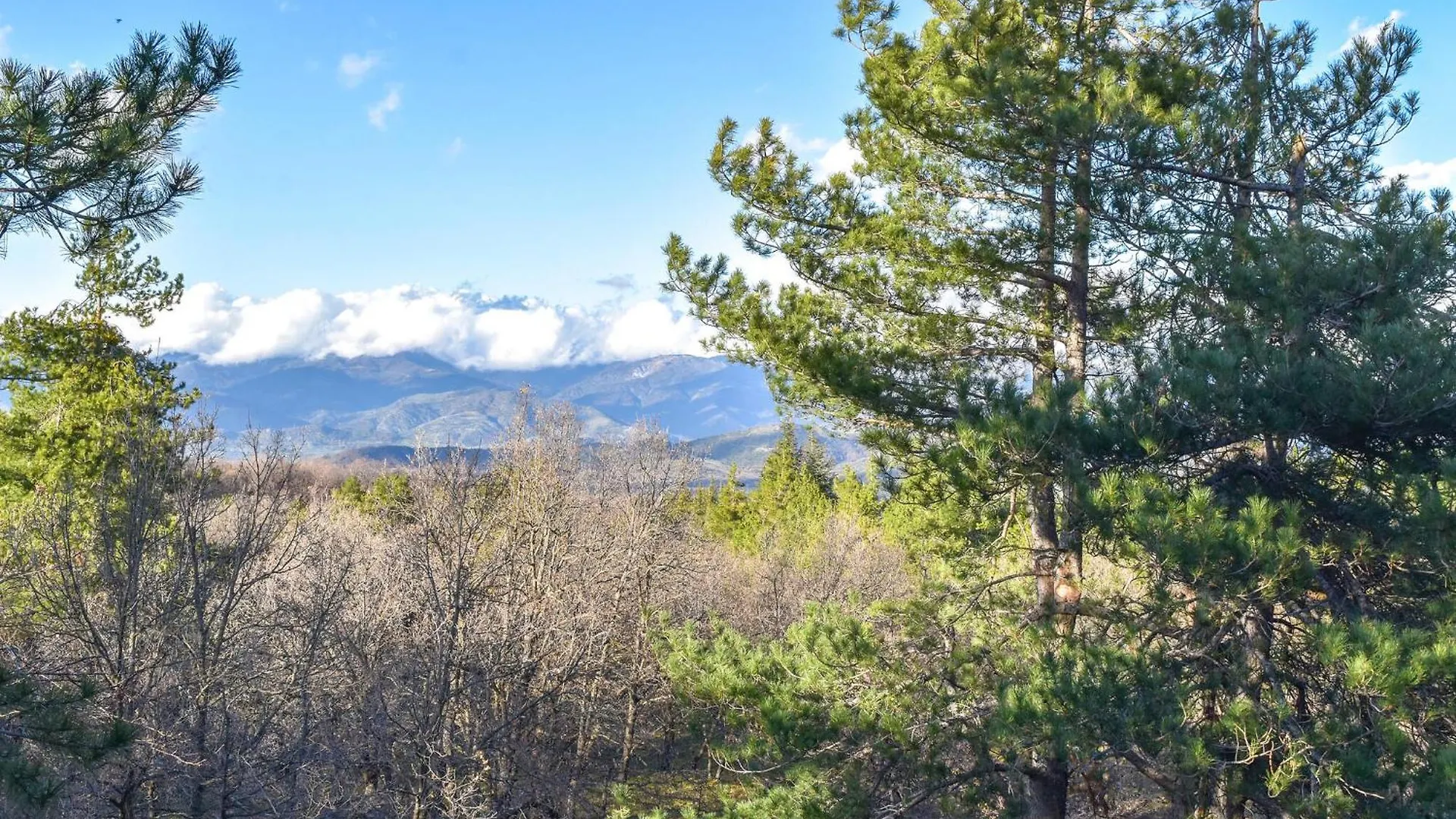 Holiday home Lovely Home In Linguaglossa With Wifi Italy
